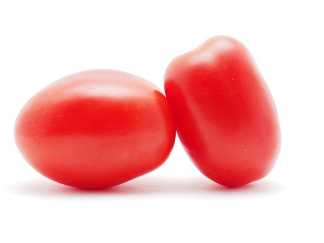 Tomato Tomate Roma Pera Belvedere WIS
